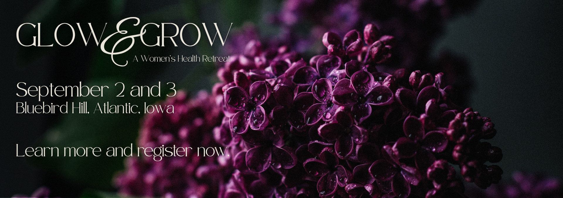 GlowAndGrow_Meta_Aug
